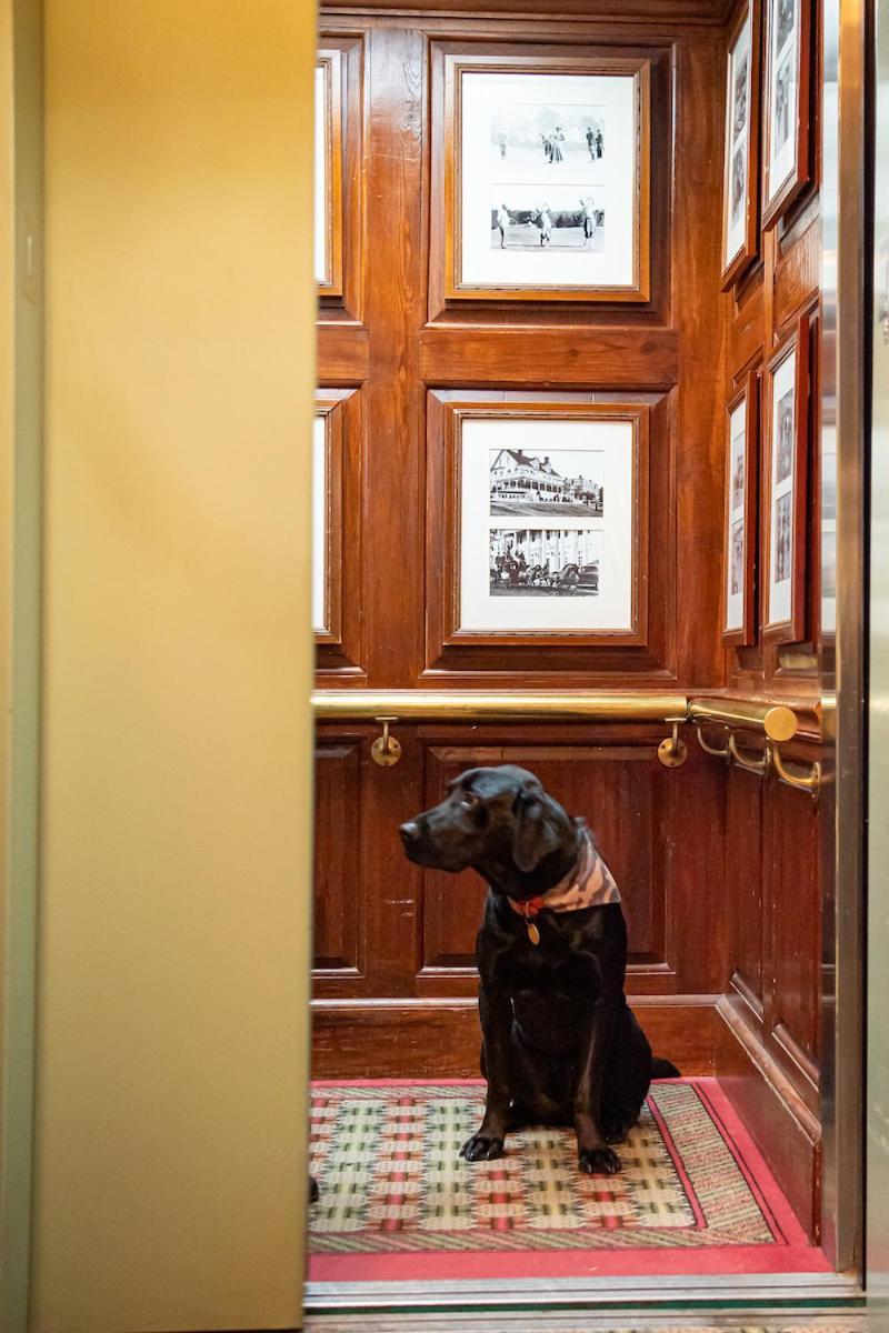 The Willcox Hotel Aiken Bagian luar foto